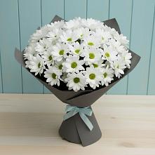 Букет цветов из:  Хризантемы в Пластун
