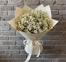 Букет цветов из:  Ромашки в Пластун