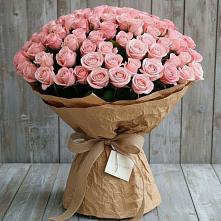 Букет 151 Роза Роуз #REPLACE_PRED# Пластун