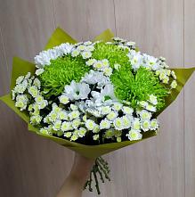 Букет цветов из:  Хризантемы #REPLACE_PRED# Пластун