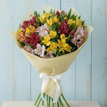 Букет цветов из:  Альстромерии #REPLACE_PRED# Пластун