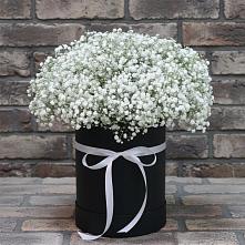 Цветочная композиция из Гипсофила в шляпной коробке #REPLACE_PRED# Пластун
